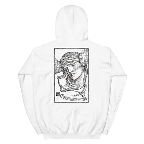 Corruptio Optimi Pessima Unisex Hoodie - White - Pulp & Stitch