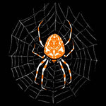 Spider in a Web by Julie de Graag Unisex T-Shirt - Black - Pulp & Stitch