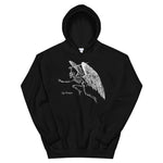 Winged Skeleton Unisex Hoodie - Black - Pulp & Stitch